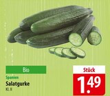 Salatgurke bei famila Nordost im Bergen Prospekt für 1,49 €