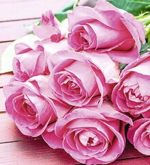 Le bouquet de 7 roses - Casino Supermarchés à Pau Le bouquet de 7 roses en promo chez Casino Supermarchés Pau à 5,00 €