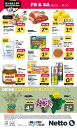 Nutella Angebot & Preis im aktuellen NETTO mit dem Scottie Prospekt Nutella Angebot im aktuellen NETTO mit dem Scottie Prospekt auf Seite 28
