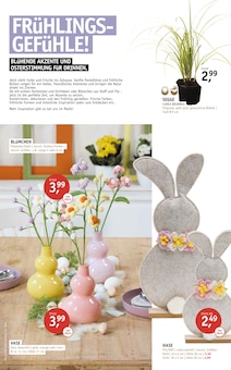 Kunstblumen im ROSENGUT Langerwisch Prospekt "FRÜHLINGSBLÜHER!" mit 12 Seiten (Potsdam)