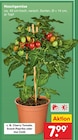 Aktuelles Cherry Tomate Angebot bei Netto Marken-Discount in Hildesheim ab 7,99 €