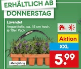 Lavendel im Angebot bei Netto Marken-Discount in Mülheim Lavendel Angebote bei Netto Marken-Discount Mülheim für 5,99 €
