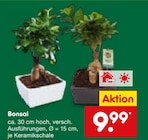 Bonsai im Angebot bei Netto Marken-Discount in Mainz Bonsai Angebote bei Netto Marken-Discount Mainz für 9,99 €