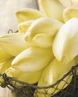 Promo Endive à 1,89 € dans le catalogue Intermarché Contact à Gonfaron