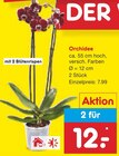 Netto Marken-Discount Wendelsheim Prospekt mit  im Angebot für 12,00 €