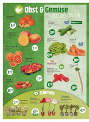 Aktueller V-Markt Prospekt mit Salat, "V-Markt einfach besser einkaufen", Seite 4