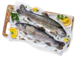 Seelachsfilet im Angebot bei Kaufland in Frankenthal Seelachsfilet Angebote bei Kaufland Frankenthal für 1,69 €