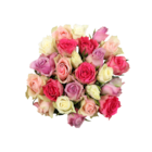 Rainbow-Rosen  im aktuellen ALDI SÜD Prospekt für 6,99 €