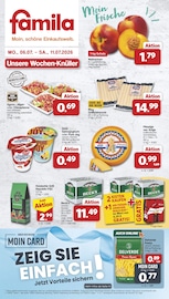 famila Nordwest Friesoythe Prospekt der aktuellen Woche, gültig von 06.07.2026 bis 11.07.2026 Aktueller famila Nordwest Friesoythe Prospekt "Markt - Angebote" mit 44 Seiten