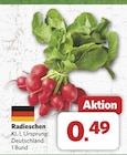 Radieschen bei combi im Hoogstede Prospekt für 0,49 €