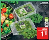 Aktuelle Rucola Angebote bei Marktkauf in Leipzig Aktuelles Feldsalat Angebot bei Marktkauf in Leipzig ab 1,11 €