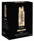 DO Cava Brut - REVESCO - Intermarché à Lunel DO Cava Brut - REVESCO en promo chez Intermarché Lunel à 20,39 €