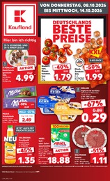 Kaufland Prospekt „Hier bin ich richtig“ für Ketzin und Umgebung mit 70 Seiten Kaufland Prospekt für Ketzin und Umgebung: „Hier bin ich richtig“, 70 Seiten, 08.10.2026 - 14.10.2026