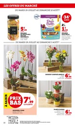 Offre Plantes dans le catalogue Super U du moment à la page 22