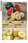 Fruit Fruit