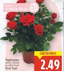 Topfrosen für 2,49 € bei E center im Angebot Topfrosen im aktuellen E center Prospekt