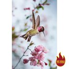 Keilrahmenbild im aktuellen POCO Prospekt für 18,00 €