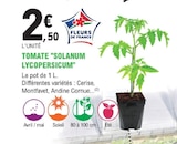 E.Leclerc Le Pian-Médoc - Promo Tomate Solanum Lycopersicum Promo Tomate Solanum Lycopersicum à 2,50 € dans le catalogue E.Leclerc à Le Pian-Médoc