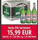 Pils Sortiment im aktuellen Prospekt bei Nuck Getränke in Höckendorf