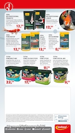 Aktueller Zookauf Prospekt mit Fisch, "ALLES BEREIT FÜR EUREN FRÜHLING", Seite 12