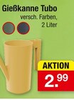 Gießkanne Tubo Angebote bei Zimmermann Mainz für 2,99 €