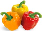 Paprika Mix im REWE Prospekt Paprika Mix von REWE Beste Wahl im aktuellen REWE Prospekt für 1,49 €
