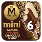 Bâtonnets glacés - MAGNUM en promo chez Carrefour Market Metz à 4,15 €