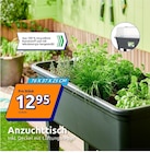 Anzuchttisch von  im aktuellen Action Prospekt für 12,95 €