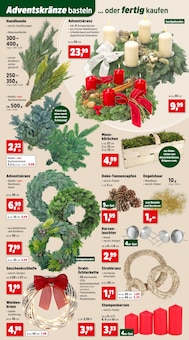 Pflanzen im aktuellen Thomas Philipps Prospekt (Heidelberg) Pflanzen im Thomas Philipps Prospekt "Top Angebote" mit 30 Seiten (Heidelberg)