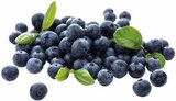 Bio-Heidelbeeren bei E center im Schüttorf Prospekt für 2,22 €