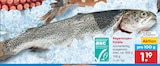 Aktuelles Regenbogenforelle Angebot bei Netto Marken-Discount in Potsdam ab 1,19 €