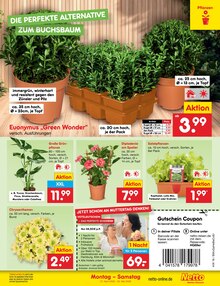 Pflanzen im Netto Marken-Discount Prospekt "Aktuelle Angebote" mit 73 Seiten (Jena)
