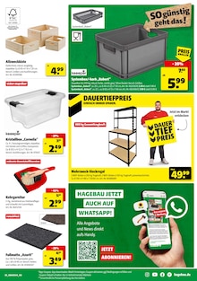 Wandfarbe Angebot im Hagebaumarkt Prospekt, gültig von 25.10.2025 bis 01.11.2025 Wandfarbe Angebot im aktuellen Hagebaumarkt Prospekt auf Seite 5