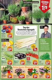 Balkonpflanzen im REWE Prospekt "Dein Markt" mit 32 Seiten (Heidelberg)