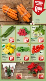 Ähnliche Angebote wie Zitronenbaum im Prospekt "Dein Markt" auf Seite 9 von REWE in Hofheim