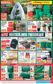 Teppichboden im Norma Prospekt in Neunkirchen Aktueller Norma Prospekt mit Teppichboden, "Mehr fürs Geld", Seite 3