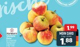 Aktuelle Äpfel Angebote bei nah&frisch in Münster Aktuelles Elstar Angebot bei nah&frisch in Münster ab 1,88 €