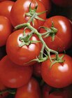 Vival Rosny-sous-Bois - TOMATES GRAPPE CATÉGORIE 1 Promo TOMATES GRAPPE CATÉGORIE 1 dans le catalogue Vival L'Anniversaire à Rosny-sous-Bois