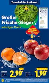Äpfel im Lidl Prospekt in Aalen Aktueller Lidl Prospekt mit Äpfel, "LIDL LOHNT SICH", Seite 2