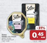 Schale von Sheba im aktuellen famila Nordwest Prospekt