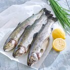 Truite rose FILIÈRE QUALITÉ CARREFOUR en promo chez Carrefour Market Truite rose FILIÈRE QUALITÉ CARREFOUR dans le catalogue Carrefour Market