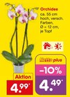 Orchidee Angebote bei Netto Marken-Discount Siegen für 4,49 €