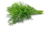 Aktuelles Dill Angebot bei REWE in Hannover ab 0,69 €