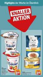 Katzenfutter Angebot im aktuellen REWE Prospekt auf Seite 2