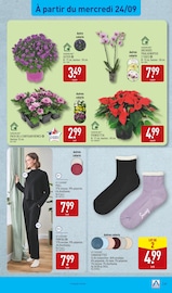 Chrysanthèmes Angebote im Prospekt "FOIRE AUX VINS D'AUTOMNE" von Aldi Chrysanthèmes Angebote im Prospekt "FOIRE AUX VINS D'AUTOMNE" von Aldi auf Seite 41