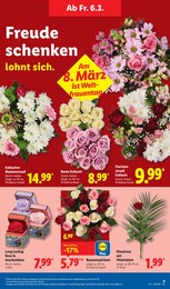 Blumen Angebot im aktuellen Lidl Prospekt auf Seite 19