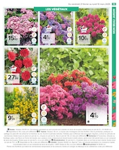 Hortensia Angebote im Prospekt "PROFITER ENFIN DE SON JARDIN" von Carrefour auf Seite 15