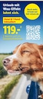 Hotel & 1 Hund inkludiert bei Lidl im Prospekt "" für 119,00 €