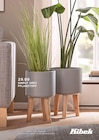 SIMPLY GREY Pflanztopf im Angebot bei Kibek in Ahlen SIMPLY GREY Pflanztopf Angebote bei Kibek Ahlen für 29,99 €