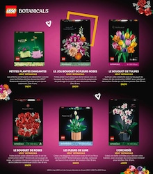 Prix et réduction Tulipes dans le prospectus Fnac en cours Offre Tulipes dans le catalogue Fnac du moment à la page 70